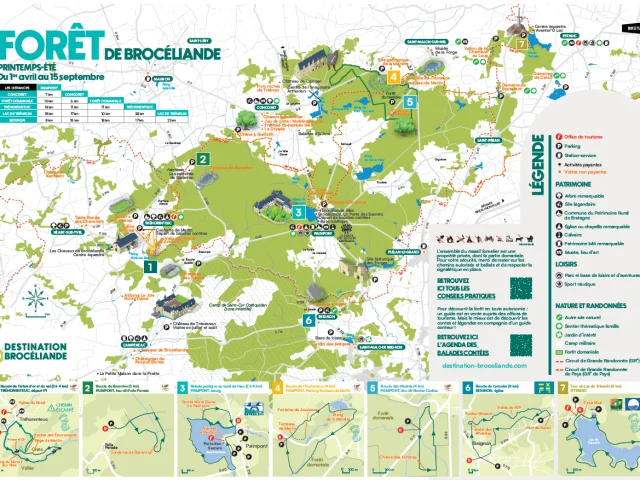 Carte Foret Printemps Ete Db 2025