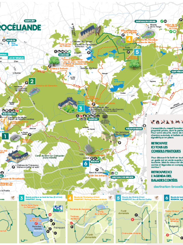 Carte Foret Printemps Ete Db 2025