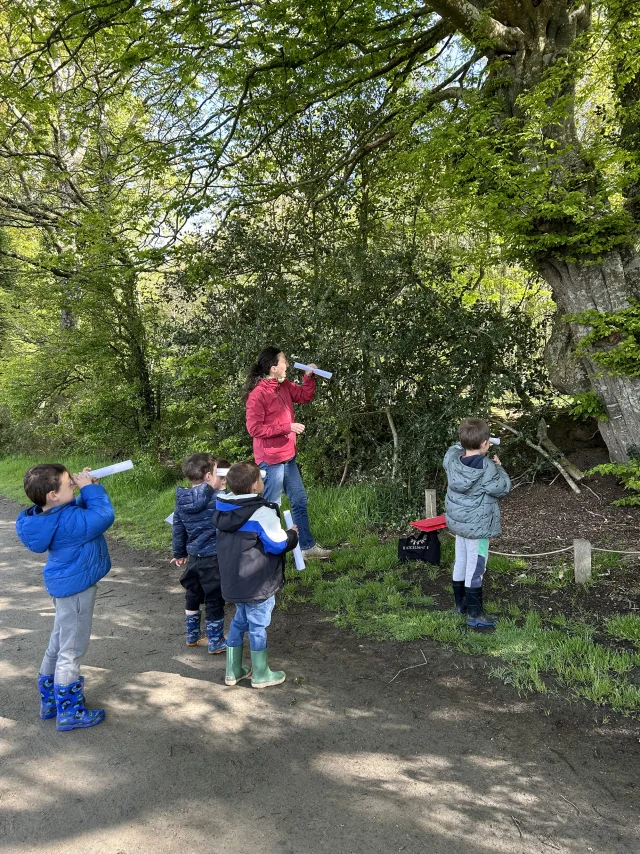 Balade Contee Les Petits Explorateurs Office De Tourisme De Broceliande