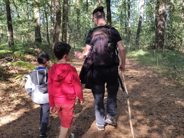 Photo balade contée en forêt de Brocéliande