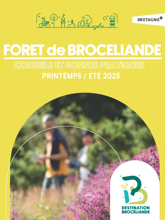 Conseils Printempsete 2025 Copie Copie