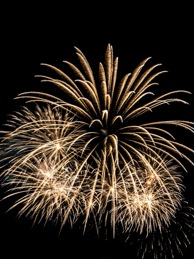 Feu artifice - Image libre de droits
