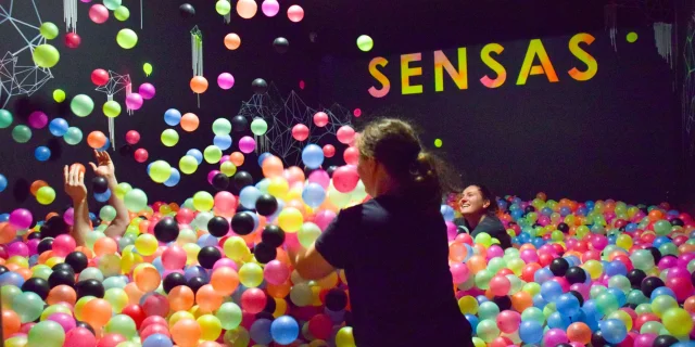 Sensas Rennes