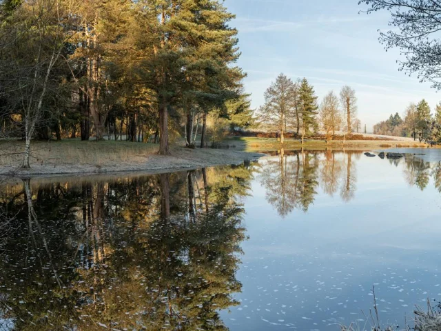 Etang de la marette