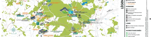 Carte Foret Hiver Automne