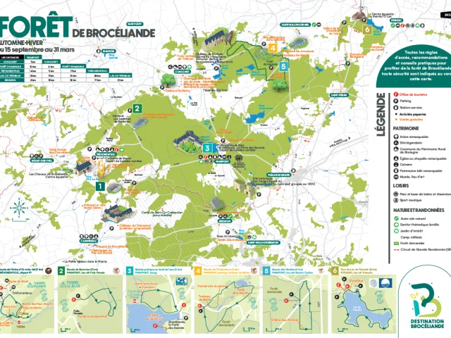 Carte Foret Hiver Automne