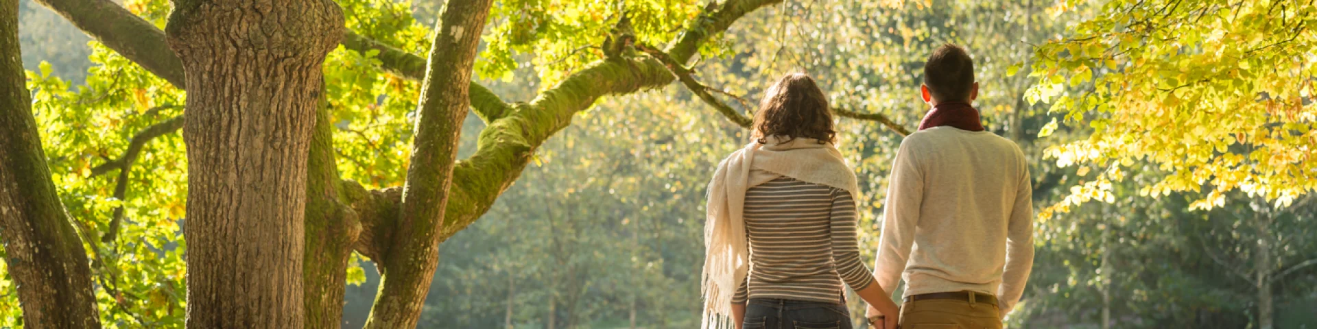 Miroir Aux Fees E.berthier