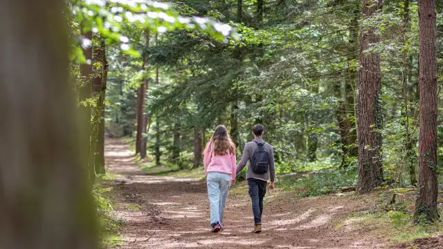 Schleife Des Hindres Noellapennanech Reiseziel Broceliande2