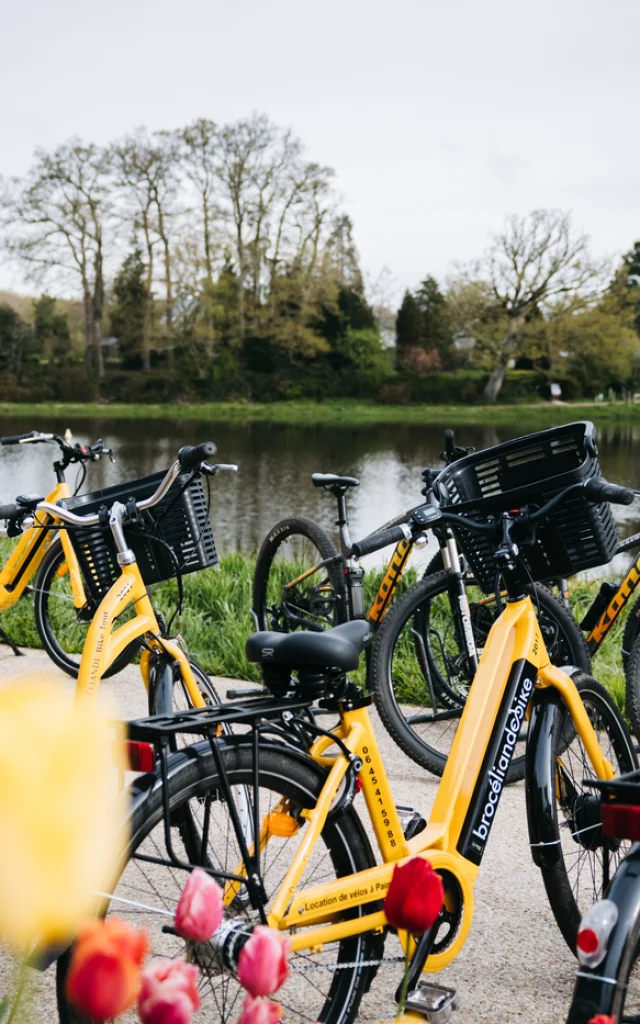 Bbt Tourisme Bretagne Nicolas Dequin 002