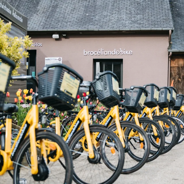 Bbt Tourisme Bretagne Nicolas Dequin 006