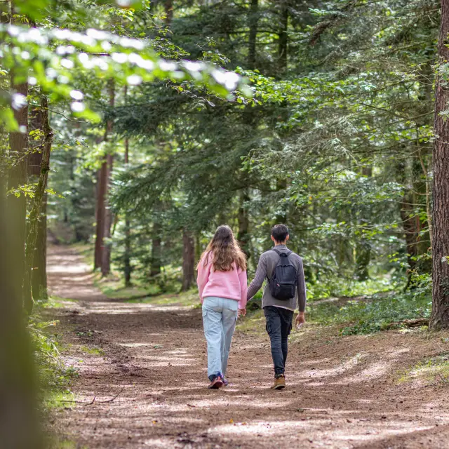 Boucle Des Hindres Noellapennanech Destination Broceliande2