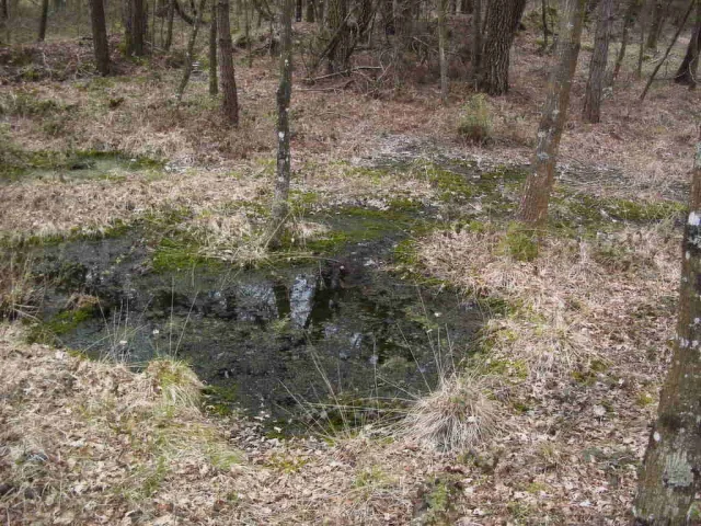 Depression Tourbeuse