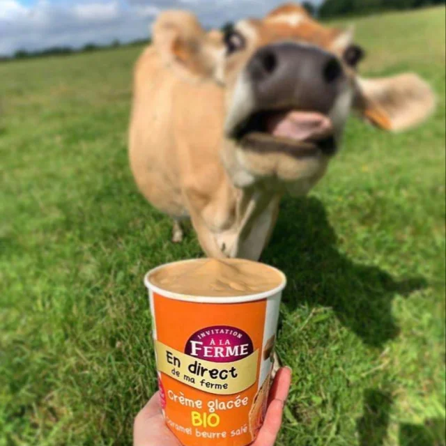 Ker Bregere Farm Maxent