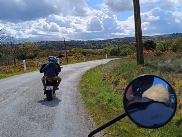 Les Scooters De Broceliande