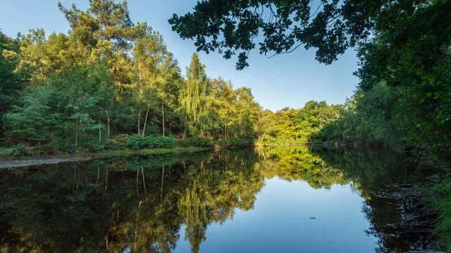 Miroir Aux Fées - Emmanuel Berthier