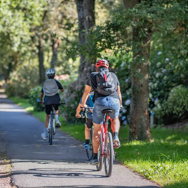 Velo voie verte Lac Au Duc Ploermel
