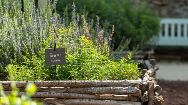 jardin médiéval - Josselin
