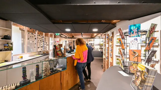 Foto ter illustratie van de Lot De Broceliande A Paimpont Loic Kersuzan Morbihan Tourisme