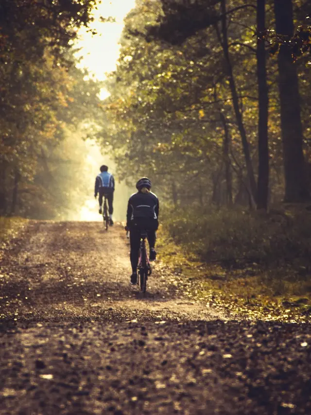 Bild zur Illustration der Seite Radtouren Pixabay Jolanda L Cycling