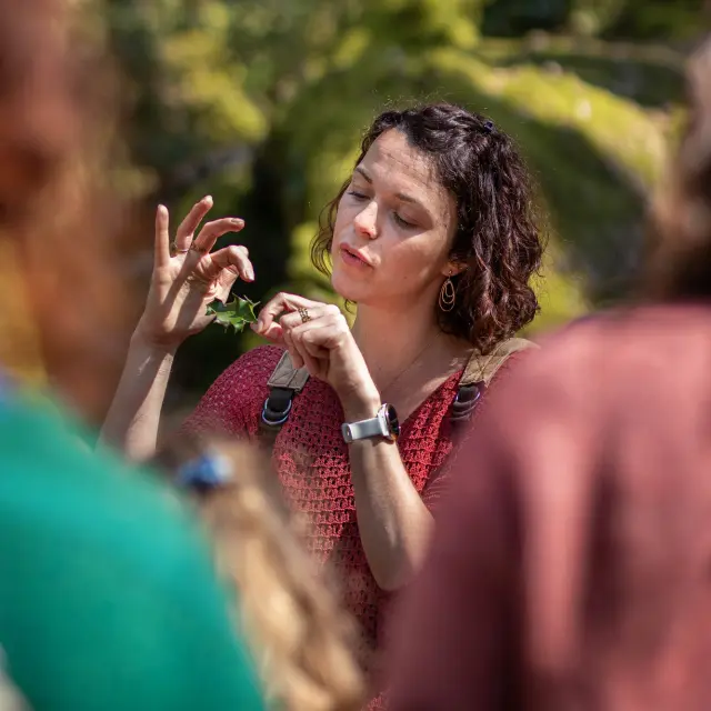 les escapades de Julie conteuse en Brocéliande