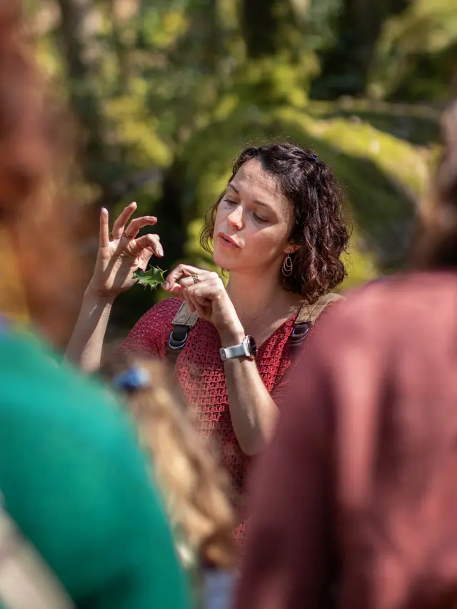 les escapades de Julie conteuse en Brocéliande