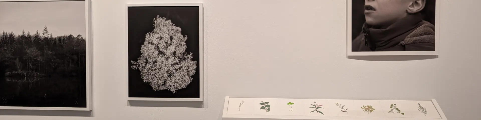 Expo Lise Gaudaire Janvier 2026 Credit Marie Hossin Montfort Commun 3