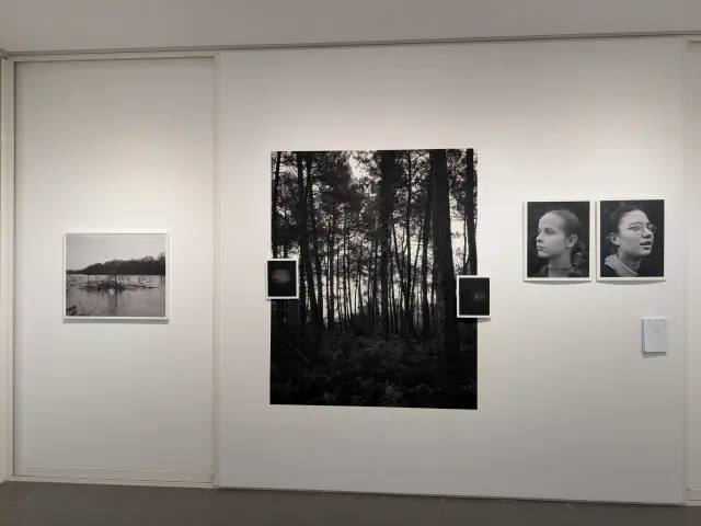 Expo Lise Gaudaire Janvier 2026 Credit Marie Hossin Montfort Commun 5