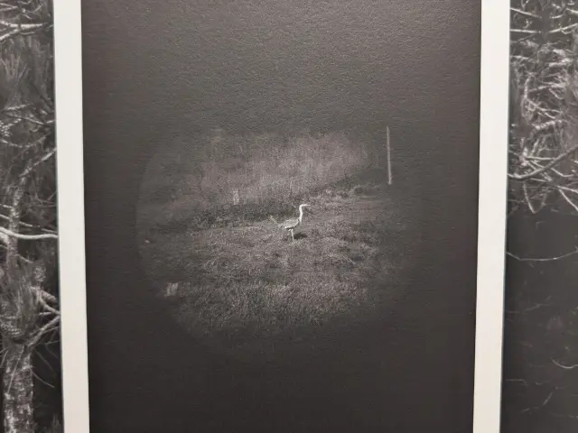 Expo Lise Gaudaire Janvier 2026 Credit Marie Hossin Montfort Commun 6