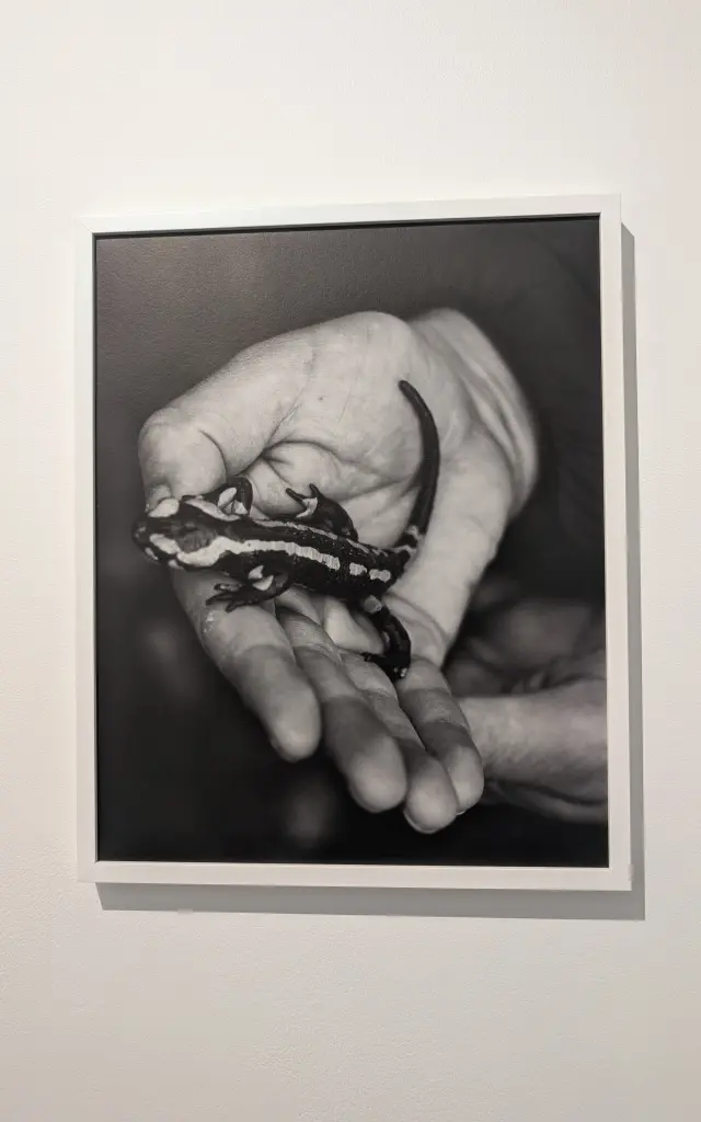 Expo Lise Gaudaire Janvier 2026 Credit Marie Hossin Montfort Commun 9