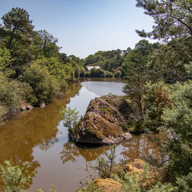 Instagram #destinationbroceliande