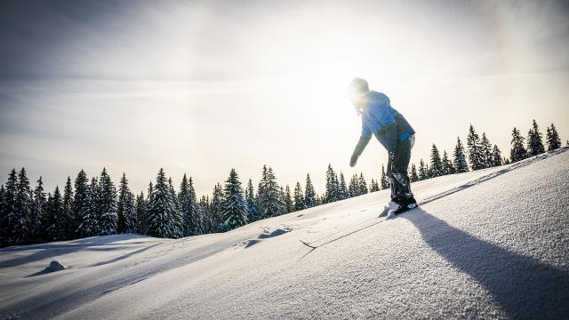 Jeune skieur dans la poudreuse