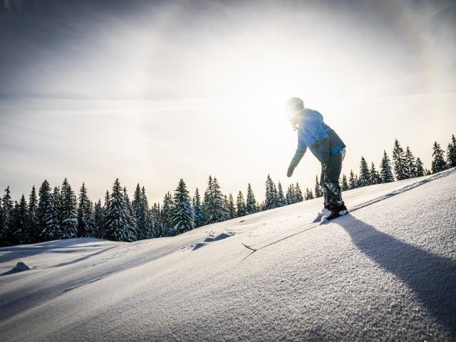 Jeune skieur dans la poudreuse