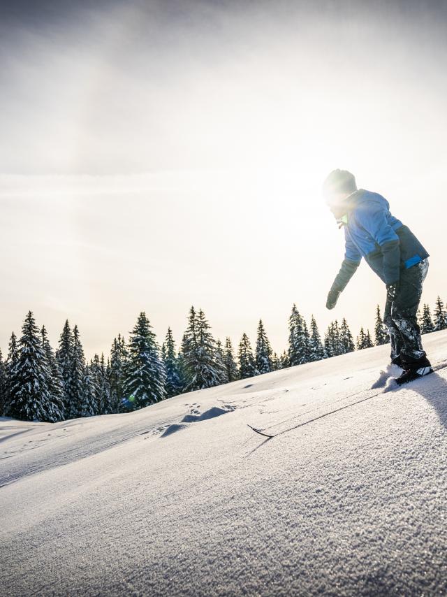 Jeune skieur dans la poudreuse
