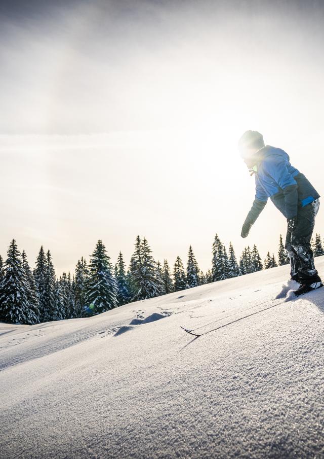 Jeune skieur dans la poudreuse
