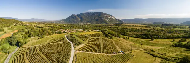 Vue sur les vignobles du Bugey et le Grand Colombier depuis Flaxieu
