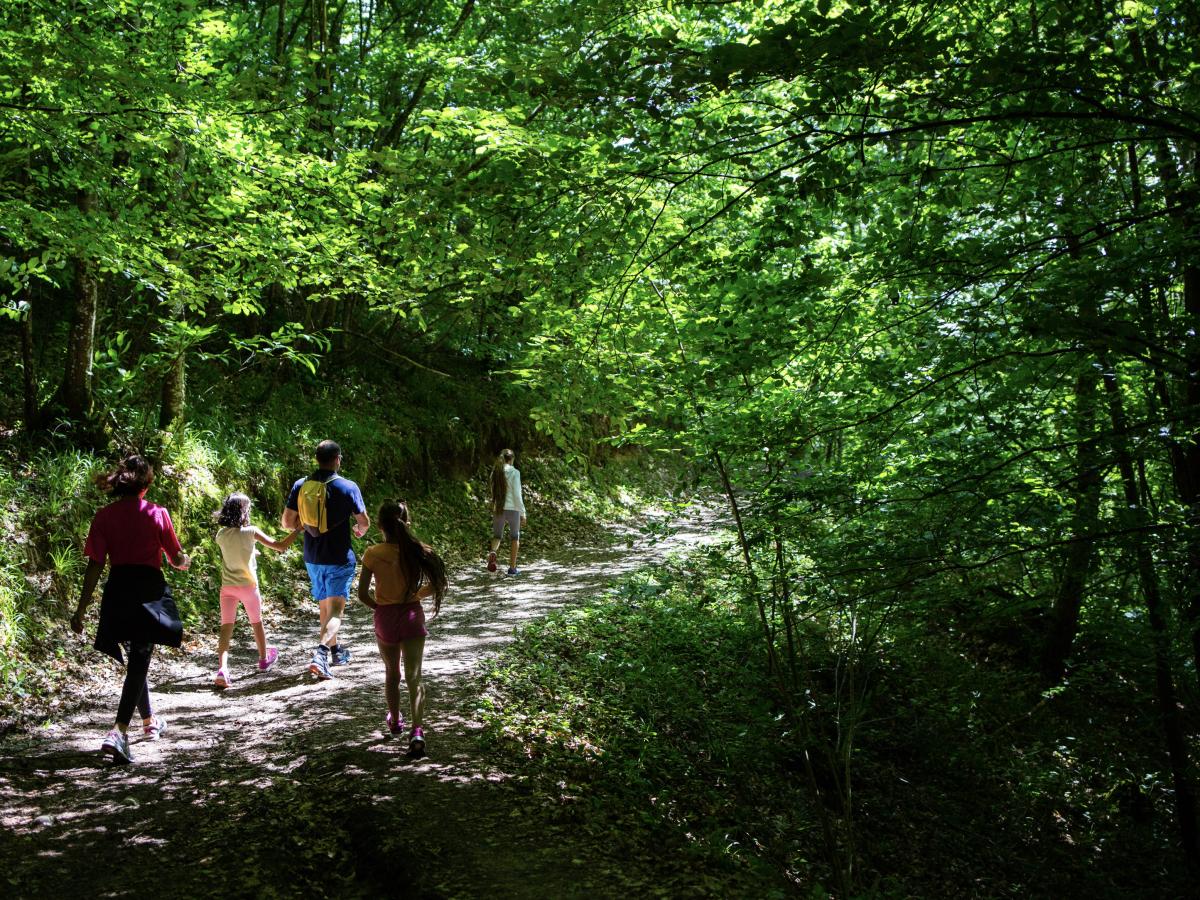 Family walks | bugeysud