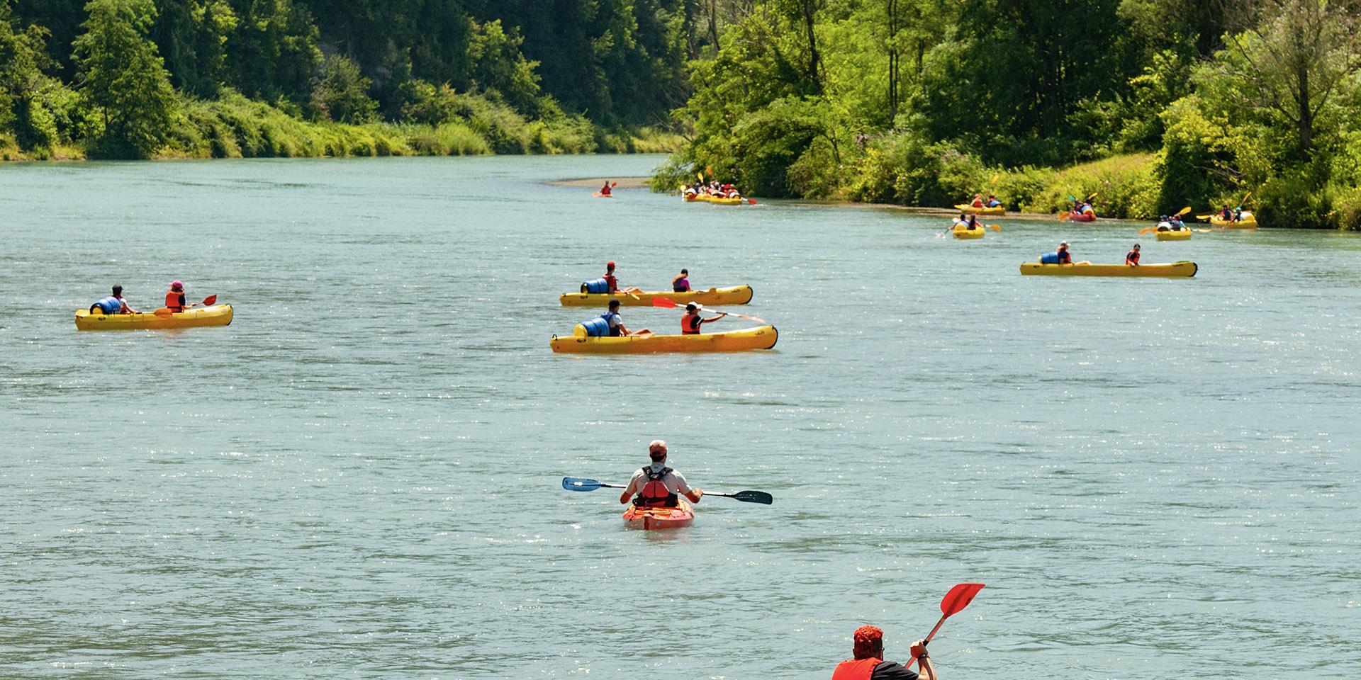 Canoës sur le Rhône