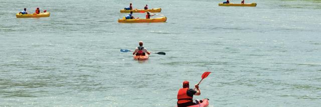Canoës sur le Rhône