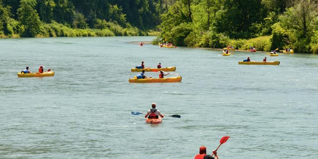 Canoës sur le Rhône