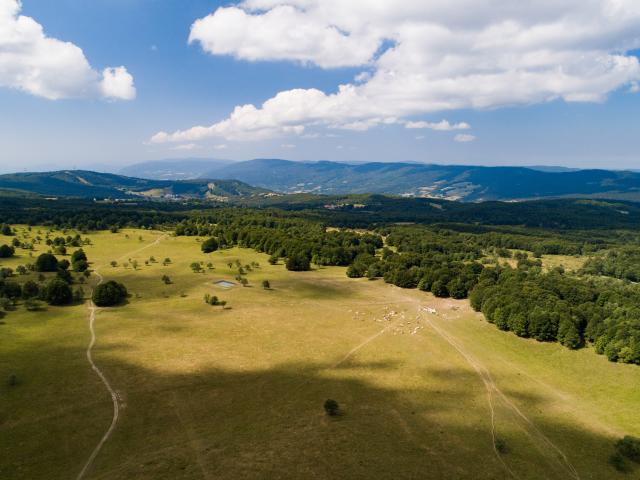Vue sur les étendues du Plateau de Retord