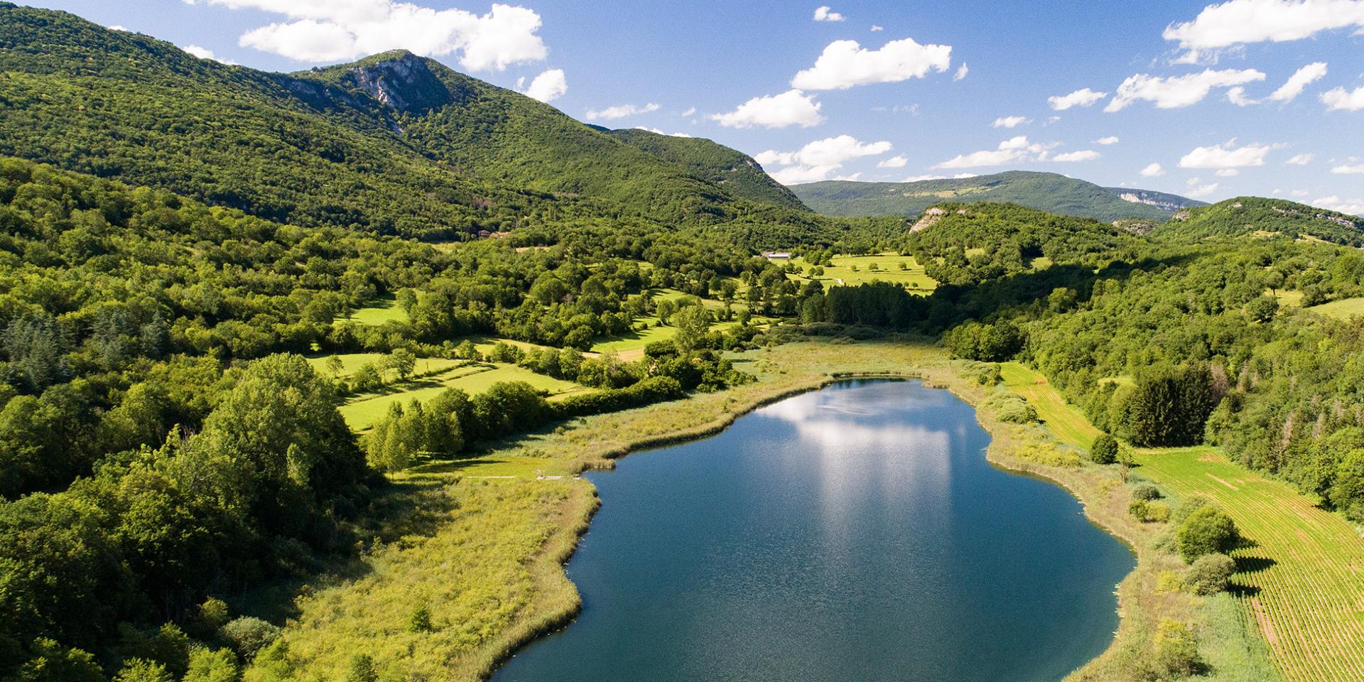 Lac d'Arboreaz