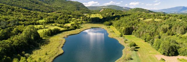 Lac d'Arboreaz