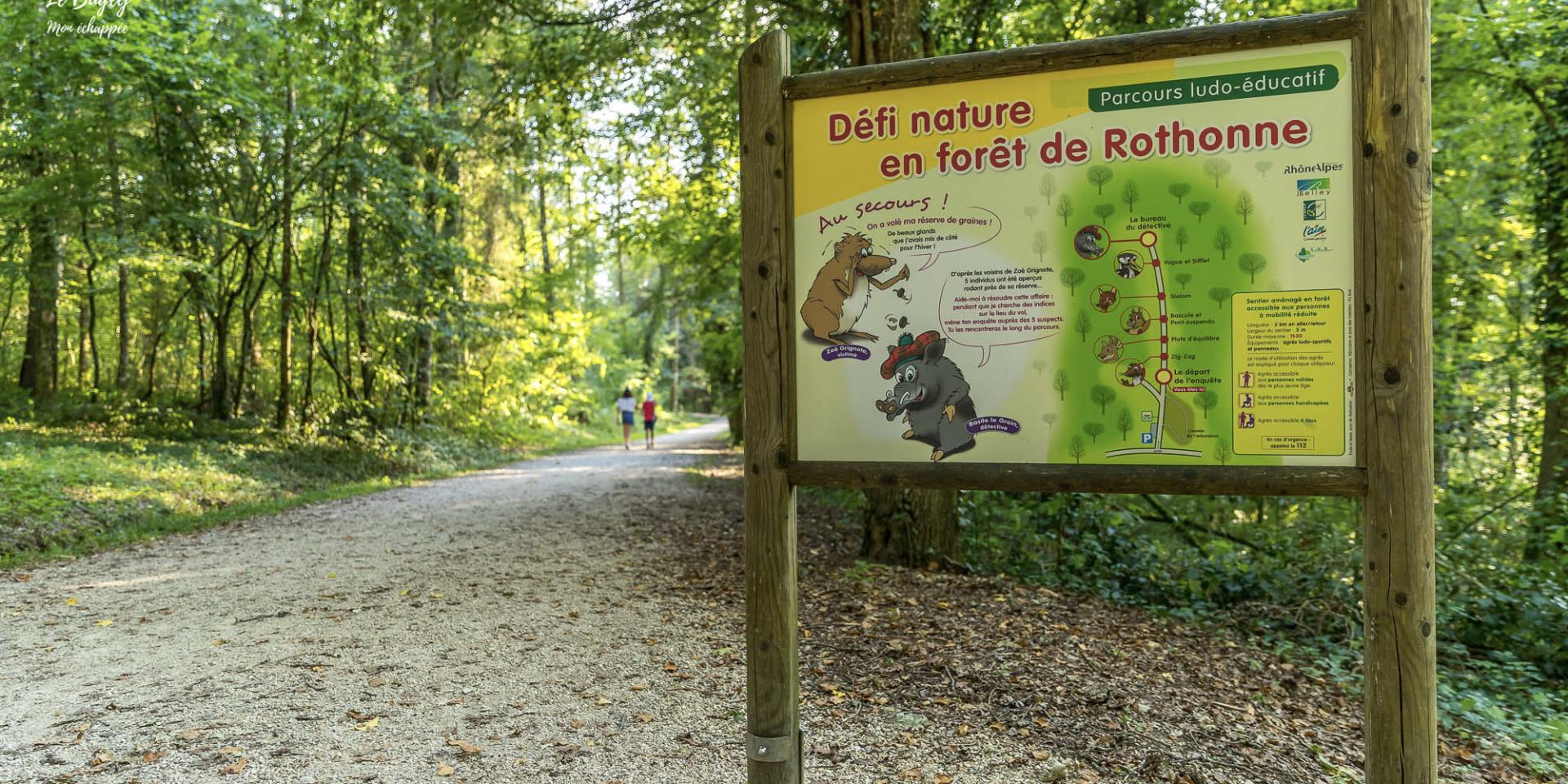 Forêt De Rothonne