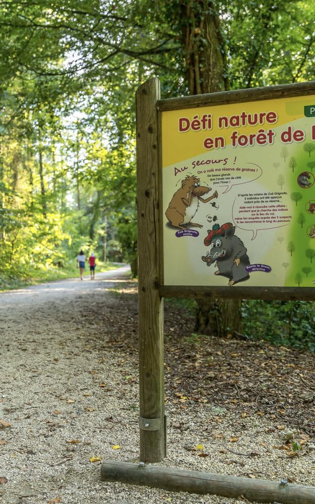 Forêt De Rothonne