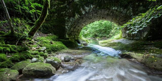 L'Arvière Rivière Sauvage de l'Ain