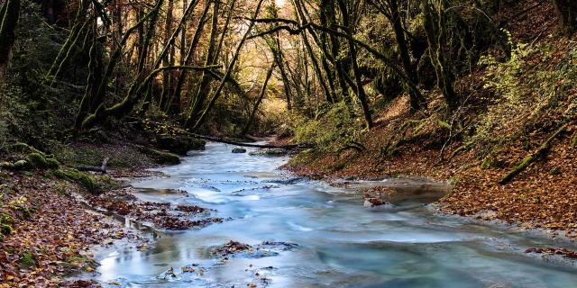 Rivière sauvage de l'Arvière dans le Valromey
