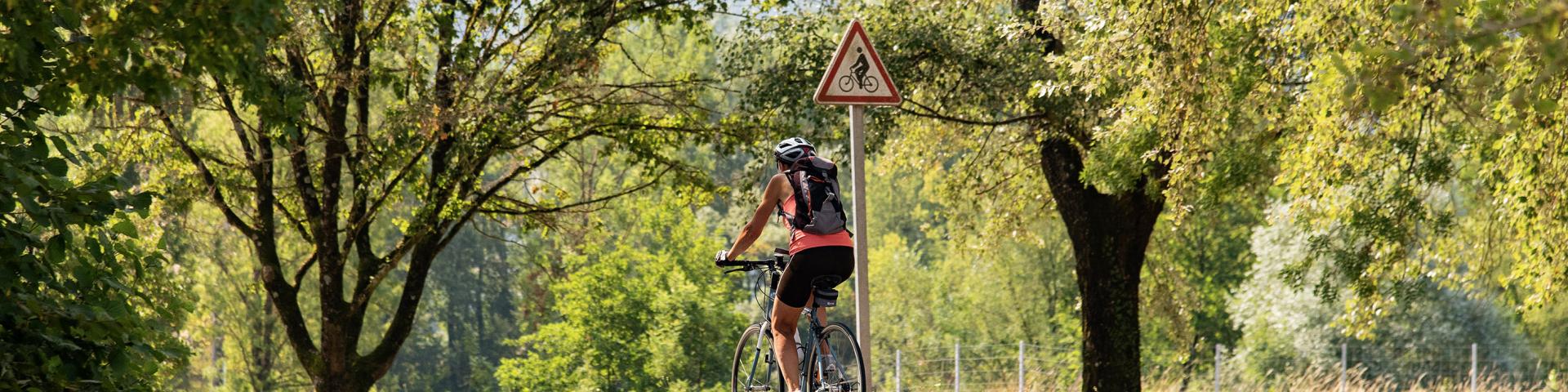 Cycliste sur la ViaRhôna entre Lyon et Genève