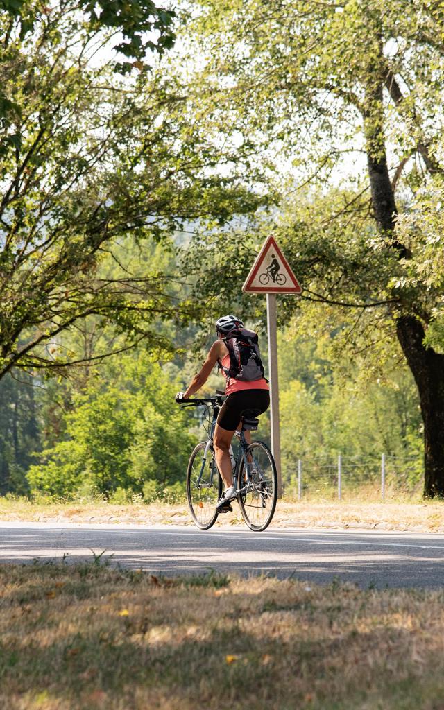 Cycliste sur la ViaRhôna entre Lyon et Genève