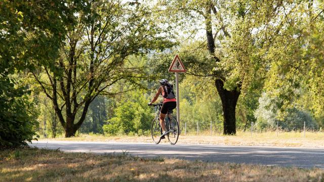 Cycliste sur la ViaRhôna entre Lyon et Genève