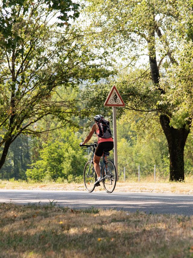 Cycliste sur la ViaRhôna entre Lyon et Genève